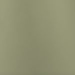 Dark pistachio