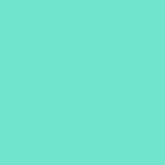 Oracal 751C-055 Mint 1.26m
