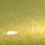 K75409 Gloss Solar Flash 1.52m