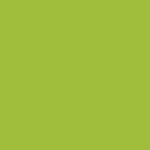 K75454 Dynamic Lime 1.52m