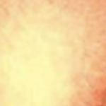 K75554 Autumn Fire 1.52m