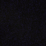 K75570 Frozen Midnight Purple 1.52m